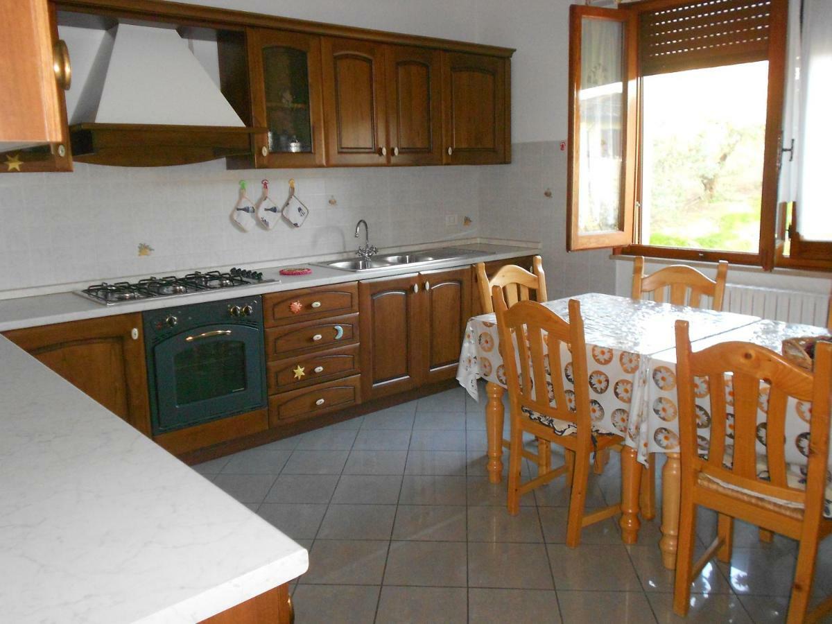 Agriturismo Barbarino Vinci Kültér fotó